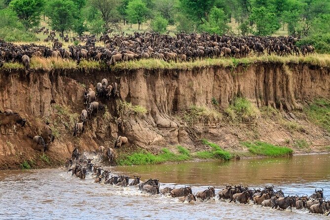 8 Days Serengeti Migration safari - Day 2: Mto wa Mbu bike outing, then Lake Manyara’s birds and flamingos