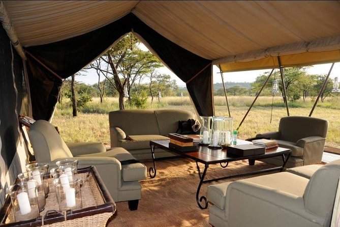8 Days Tanzania Adventure Tented Camps Safari - The Northern Safari Route That Actually Feels Like a Story