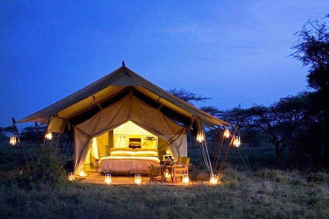 8 Days Tanzania Adventure Tented Camps Safari - Serengeti Days and Olduvai Gorge: Science Stop Before the Plains (Day 5)