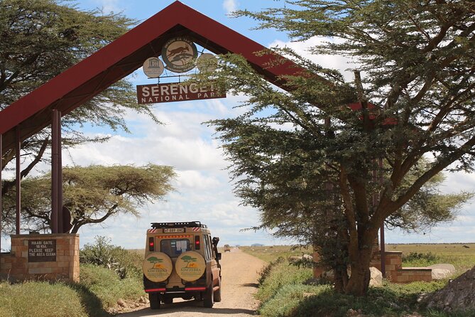 8 Days Tanzania Simba Luxury Safari - Day 1 in Arusha: Getting Set Up So You’re Ready to Spot