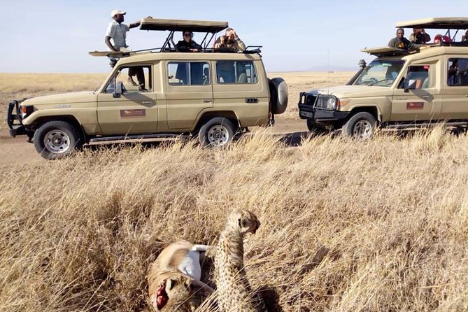 8 Days Tanzania Wildlife Safari Experience - Entering Northern Tanzania’s wildlife circuit with a clear plan