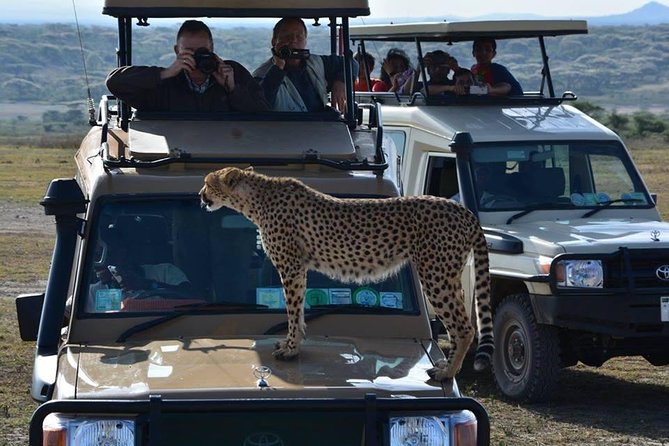 8 Days Tanzania Wildlife Safari Experience - Ngorongoro Crater: full-day crater-floor safari in a collapsed volcano world