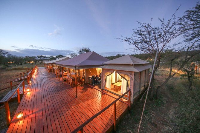 8 Days Tanzania Wildlife Safari Experience - Day 8 flight home: finishing with less backtracking stress