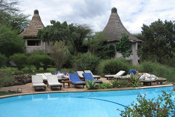 8 Days Tanzania Wildlife Safari Experience - What the private safari includes, and what it does not