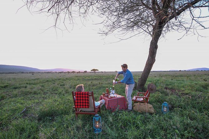 8 Days Tanzania Wildlife Safari Experience - Day 1 in Arusha: time to get oriented before the safari rhythm