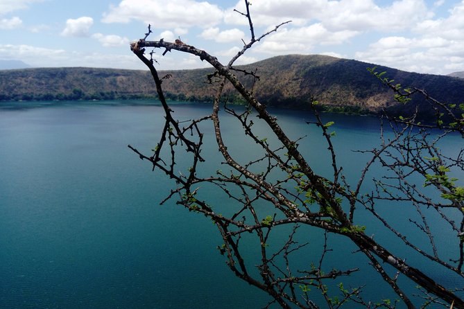 8-Hour Lake Chala Guided Tour from Moshi or Arusha - Wildlife spotting: baboons, vervet monkeys, and elephants in season