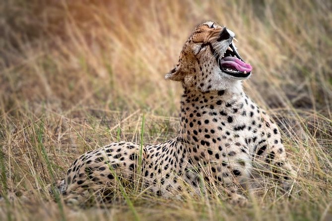 9-Day Serengeti Migration Footsteps Tanzania Safari - Why this Great Migration route starts with Arusha