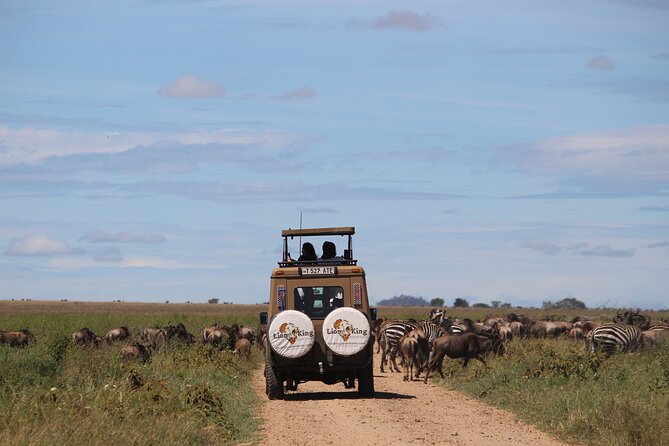 9-Day Serengeti Migration Footsteps Tanzania Safari - Day 8: Ngorongoro Crater floor, Big Five potential in an unfenced ecosystem
