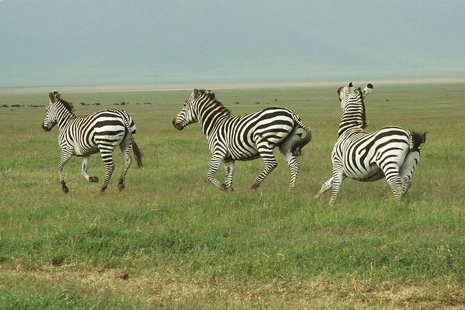 9-Day Ultimate Tanzania Honeymoon Safari Luxury Package - Day 1 in Arusha, what your first dinner should feel like