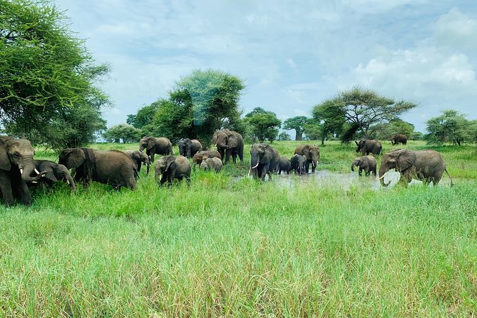 9 Days - Best of Tanzania Safari - Day 1 to Arusha: your start point and how you’ll be handled