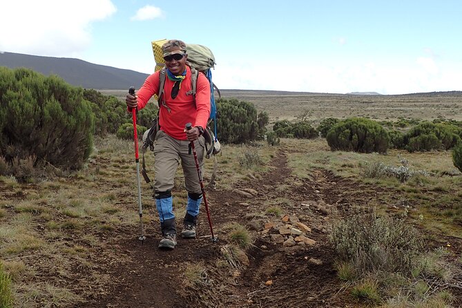 9 Days Kilimanjaro Climb via Lemosho Route - Day 1: Moshi town settling in, then you rest up for altitude