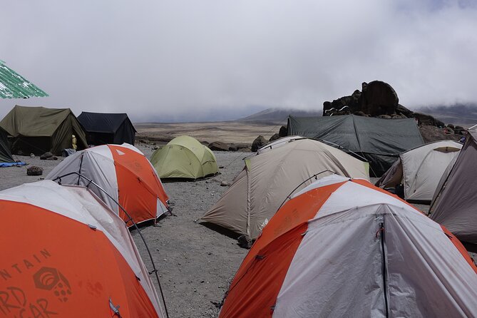 9 Days Kilimanjaro Climb via Lemosho Route - Day 4: A short day that helps you acclimatize for real