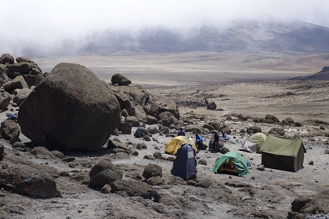 9 Days Kilimanjaro Climb via Lemosho Route - Day 5: Heath into alpine desert, plus the Lava Tower option