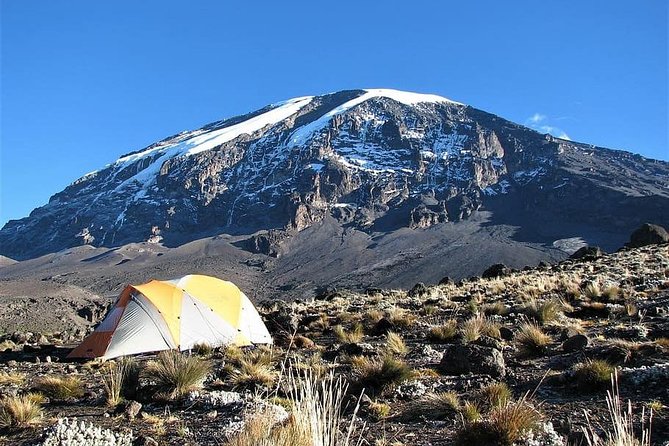 9 Days Kilimanjaro Hiking or Climbing via Northern Circuit route - Key points before you go