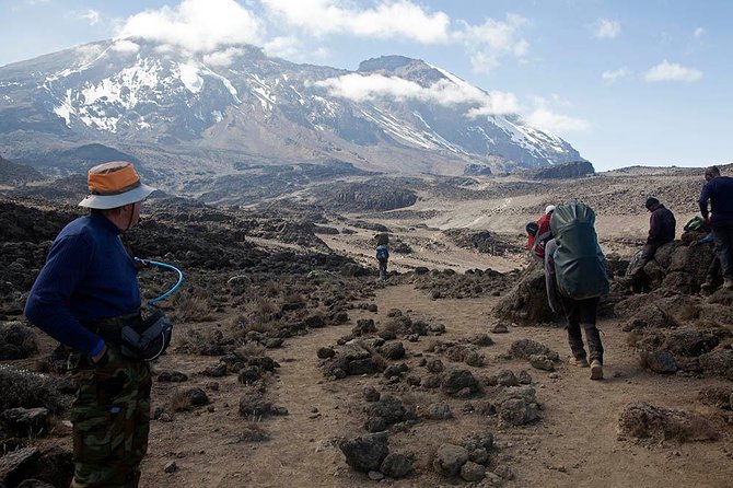 9 Days Kilimanjaro Hiking or Climbing via Northern Circuit route - The 9-day trek by day: rainforest to Uhuru Peak