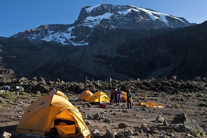 9 Days Kilimanjaro Hiking or Climbing via Northern Circuit route - Should you book this 9-day Northern Circuit Kilimanjaro climb?