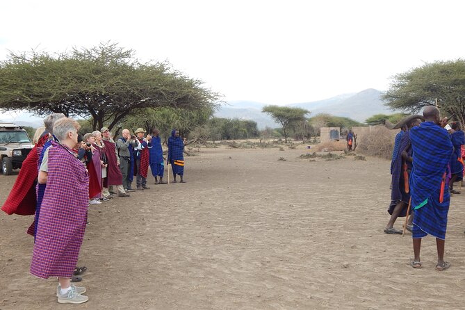 9 Days Tanzania Exhaustive Safari - Tarangire National Park: Elephants, Baobabs, and a Big-Game Feel