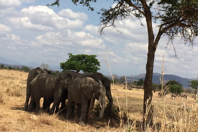 A day trip to mikumi from morogoro - What to pack so the day stays comfortable