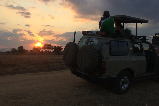 A day trip to mikumi from morogoro - Who this day trip is best for