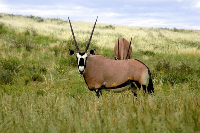 A Day Trip To Saadani National Park From Dar es salaam / Zanzibar - Key things to know before you go