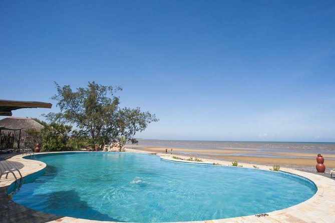 A Day Trip To Saadani National Park From Dar es salaam / Zanzibar - Price and Value at $689 Per Person