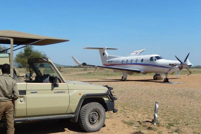 A Day Trip To Selous Fly From Zanzibar - Key Things I’d Focus On Before Booking