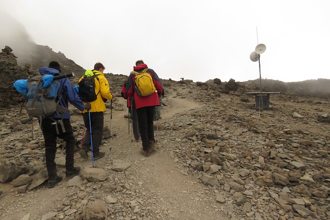 A Definitive Guide For the 7-day Kilimanjaro's Lemosho Route 2025 - Day 4, Moir Hut to Lava Tower to Barranco Camp: semi-desert views with a tougher feel