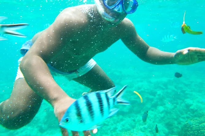 A Full Day Safari Blue Tour And Blue Lagoon - Who should book this tour, and who should reconsider