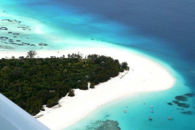 A Half Day Private Dolphins And Snorkeling Tour To Mnemba Island - Bottlenose dolphins: why the morning chance is your best bet