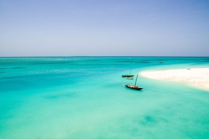 A Half Day Private Dolphins And Snorkeling Tour To Mnemba Island - Mnemba Island snorkeling: what you are actually looking for