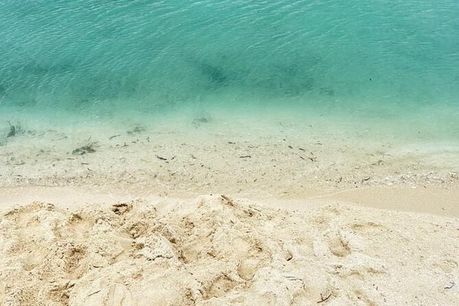 A Half Day Private Prison Island Tour - Weather, Time, and How to Get the Best Day Possible