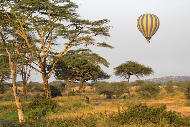 Affordable 3-Day Safari to Serengeti & Ngorongoro Crater - Key things I found most compelling