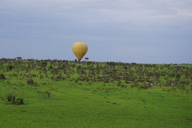 Affordable 3-Day Safari to Serengeti & Ngorongoro Crater - Day 3 inside Ngorongoro Crater: animal density, UNESCO, and black rhino odds