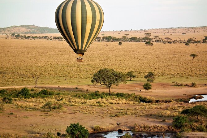 Affordable 3-Day Safari to Serengeti & Ngorongoro Crater - Camps, food, and what “camping equipment included” means for you