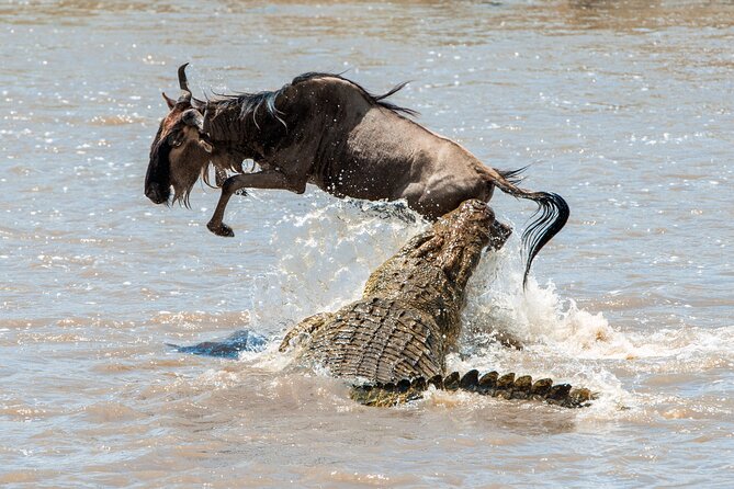 Affordable 3-Day Safari to Serengeti & Ngorongoro Crater - Guides and spotting animals: how this tour tries to raise your odds