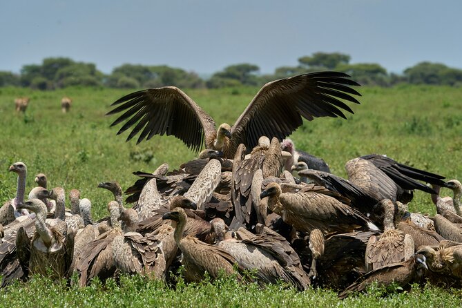 Affordable 4 Days Tanzania Private Mid-range Lodge Safari Tour - What’s not included: the budget items you still need to plan for