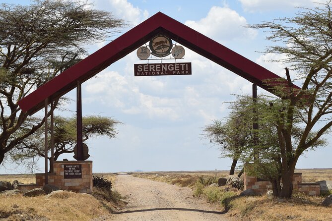 Amazing 4 Days Tanzania Budget Camping Group Joining Safari - Camping and comfort: what budget style really means here