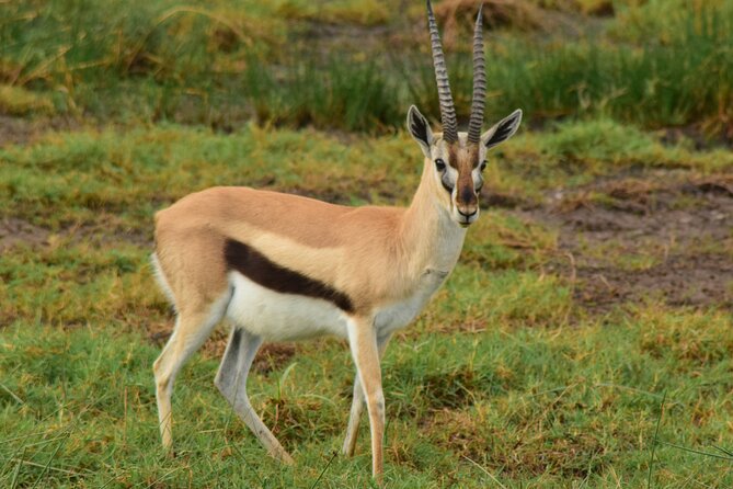 Amazing 4 Days Tanzania Budget Camping Group Joining Safari - Group-sharing logistics: how to get the best experience without guessing