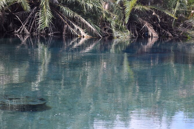 Amazing Chemka (Kikuletwa) Hot Spring Day Trip | BURIGI CHATO SAFARIS CO LTD - Relaxation at the Water’s Edge: Benches, Clear Water, and Little Surprises