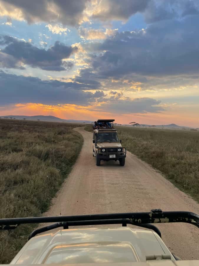 Arusha: 2 Day Tarangire & Ngorongoro Crater Big Five Safari - Day 2 in Ngorongoro Crater: how to make it count