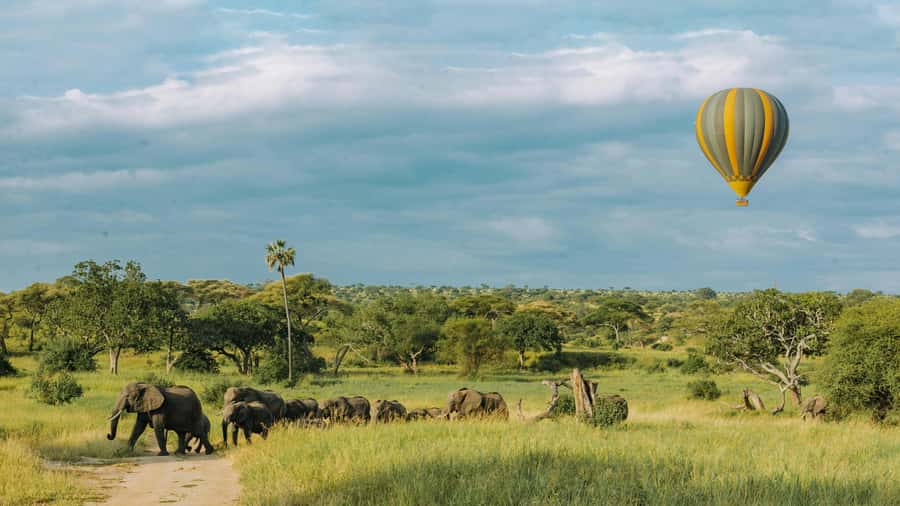 Arusha: 2 Day Tarangire & Ngorongoro Crater Big Five Safari - Lodging styles: camping vs mid-range