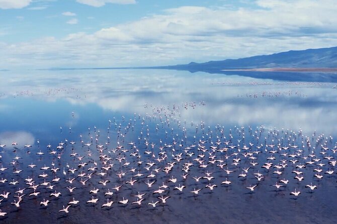 Arusha: 3-Day Safari Tarangire, Flamingo Walk Lake Natron Tour - Full Board Lodges: How the Stay Fits the Wildlife Rhythm