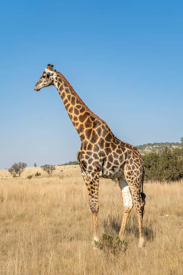 Arusha: 3-Day Serengeti & Ngorongoro Crater Big Five Safari - Price and value: where the $900 per person makes sense