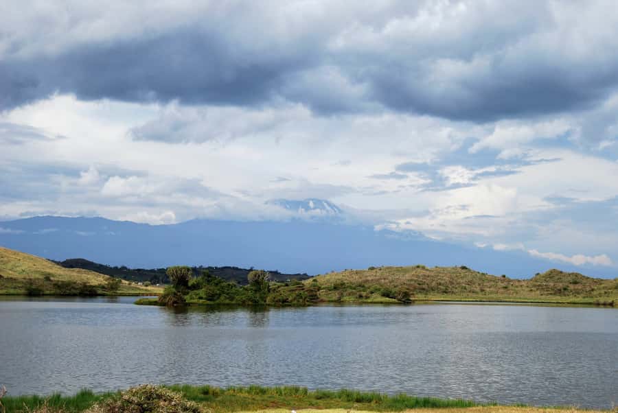 Arusha: Arusha National Park Day Trip w/ Game Drives & Lunch - Lunch at Momela wildlife lodge: a break that keeps you fueled