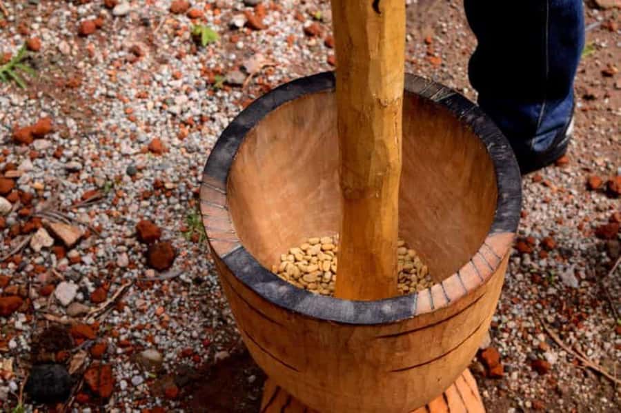 Arusha: Coffee Plantation Tour with Tasting and Hands-On … - Hands-On Processing: From Cherry to Roasted Beans