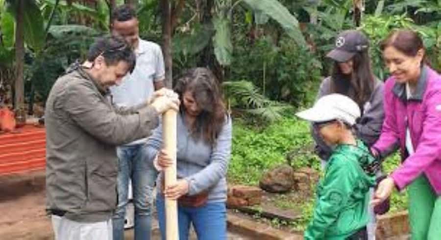 Arusha: Coffee Plantation Tour with Tasting and Hands-On … - Walking the Coffee Trees and Learning Harvest Choices
