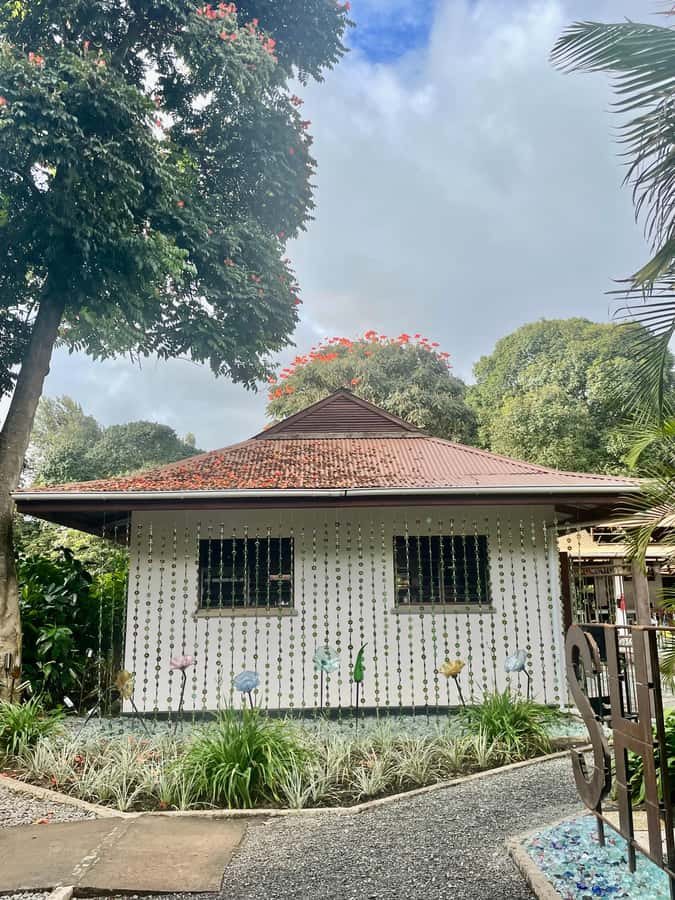 Arusha: Cultural Heritage, Tanzanite Tour - Hotel pickup and drop-off in Arusha: why it keeps the day easy