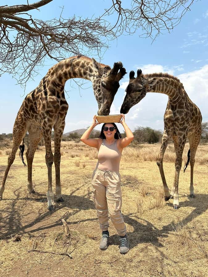 Arusha: Day Trip to Serval Wildlife - Feed Giraffes & Lions - Serval Wildlife Sanctuary and the feeling of a mission-driven visit