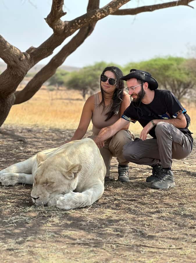 Arusha: Day Trip to Serval Wildlife - Feed Giraffes & Lions - Lion and giraffe feeding: what the encounter is actually like
