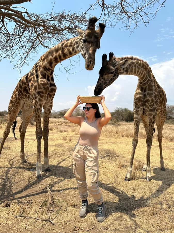 Arusha: Day Trip to Serval Wildlife - Feed Giraffes & Lions - The guided bush walk: slower pace, real wildlife skills